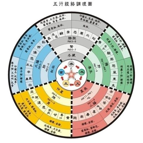 五術是什麼|五术（仙、医、命、卜、相的合称）